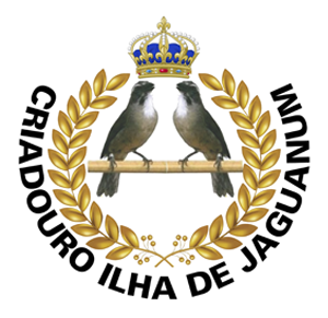 ATREVIDO CIJ - Trinca-Ferro - Criadouro Ilha de Jaguanum